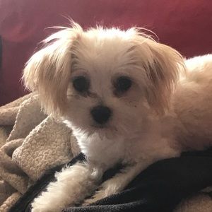 Meet your Posher, Jill